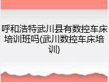 呼和浩特武川县有数控车床培训班吗(武川数控车床培训)