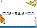 技校武术专业(武术技校)