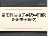 贵阳科技电子学院中职部(贵阳电子职校)