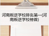 河南叛逆学校排名第一(河南叛逆学校榜首)