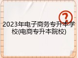 2023年电子商务专升本学校(电商专升本院校)