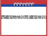 西藏宠物培训班(藏宠培训)