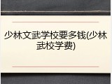 少林文武学校要多钱(少林武校学费)