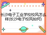 长沙电子工业学校校风怎么样(长沙电子校风如何)