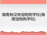 海南有没有宠物狗学校(海南宠物狗学校)