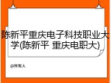 陈新平重庆电子科技职业大学(陈新平 重庆电职大)