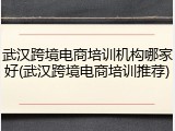 武汉跨境电商培训机构哪家好(武汉跨境电商培训推荐)