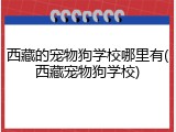 西藏的宠物狗学校哪里有(西藏宠物狗学校)