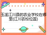 玉溪江川县的农业学校在哪里(江川农校位置)