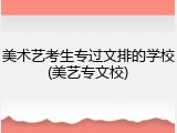 美术艺考生专过文排的学校(美艺专文校)