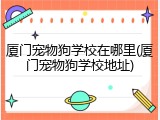 厦门宠物狗学校在哪里(厦门宠物狗学校地址)