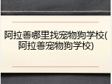 阿拉善哪里找宠物狗学校(阿拉善宠物狗学校)