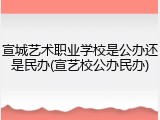 宣城艺术职业学校是公办还是民办(宣艺校公办民办)