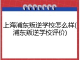 上海浦东叛逆学校怎么样(浦东叛逆学校评价)