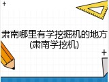 肃南哪里有学挖掘机的地方(肃南学挖机)