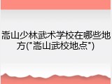 嵩山少林武术学校在哪些地方("嵩山武校地点")