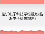 临沂电子科技学校规划(临沂电子科技规划)