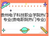 贵州电子科技职业学院热门专业(贵电职院热门专业)