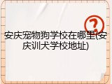 安庆宠物狗学校在哪里(安庆训犬学校地址)