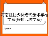 河南登封少林塔沟武术学校学费(登封武校学费)