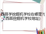 西昌学挖掘机学校在哪里?(西昌挖掘机学校地址)