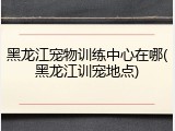 黑龙江宠物训练中心在哪(黑龙江训宠地点)