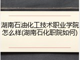 湖南石油化工技术职业学院怎么样(湖南石化职院如何)