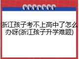 浙江孩子考不上高中了怎么办呀(浙江孩子升学难题)