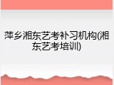 萍乡湘东艺考补习机构(湘东艺考培训)