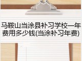 马鞍山当涂县补习学校一年费用多少钱(当涂补习年费)