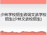 少林学校招生咨询文武学校招生(少林文武校招生)