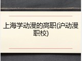 上海学动漫的高职(沪动漫职校)