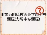 山东力明科技职业学院中专课程(力明中专课程)