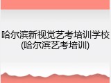 哈尔滨新视觉艺考培训学校(哈尔滨艺考培训)