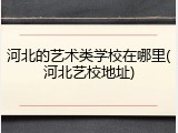 河北的艺术类学校在哪里(河北艺校地址)