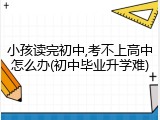 小孩读完初中,考不上高中怎么办(初中毕业升学难)
