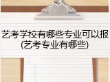 艺考学校有哪些专业可以报(艺考专业有哪些)