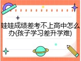 娃娃成绩差考不上高中怎么办(孩子学习差升学难)