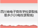 四川省电子商务学校录取线是多少(川电校录取线)