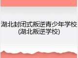 湖北封闭式叛逆青少年学校(湖北叛逆学校)