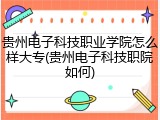贵州电子科技职业学院怎么样大专(贵州电子科技职院如何)