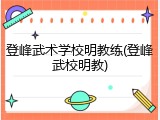 登峰武术学校明教练(登峰武校明教)