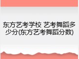 东方艺考学校 艺考舞蹈多少分(东方艺考舞蹈分数)