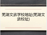 芜湖文武学校地址(芜湖文武校址)