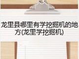 龙里县哪里有学挖掘机的地方(龙里学挖掘机)