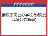 武汉职高公办学校有哪些(武汉公办职高)