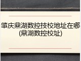 肇庆鼎湖数控技校地址在哪(鼎湖数控校址)