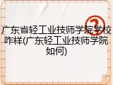 广东省轻工业技师学院学校咋样(广东轻工业技师学院如何)