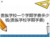 贵族学校一个学期学费多少钱(贵族学校学期学费)