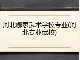 河北哪家武术学校专业(河北专业武校)